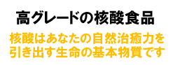 栄養補助食品 核酸ヘルシーブレイン2500G